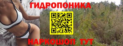 гидра Краснознаменск
