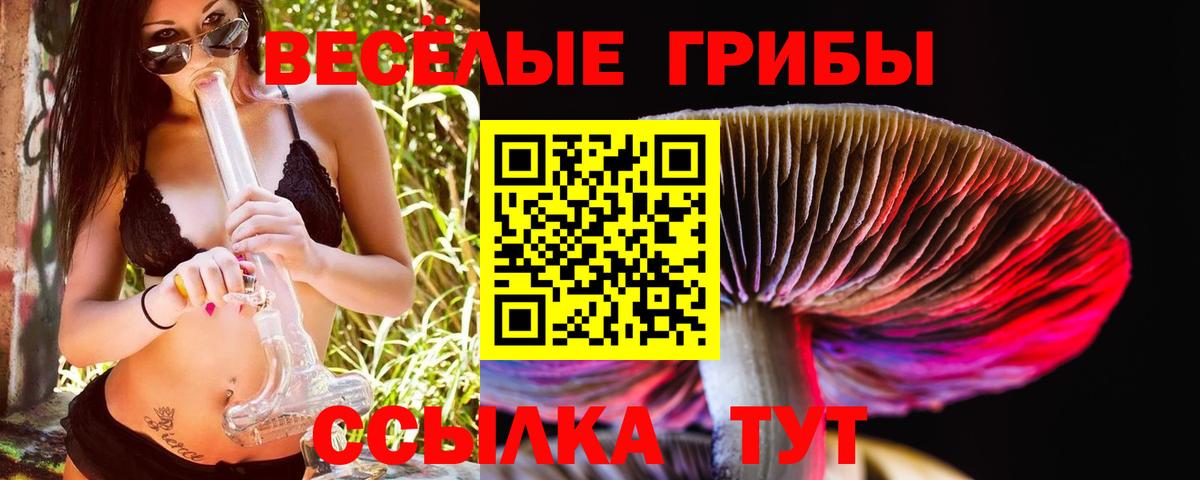 Псилоцибиновые грибы ЛСД Егорьевск